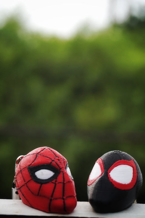 Spider-Verse Duo