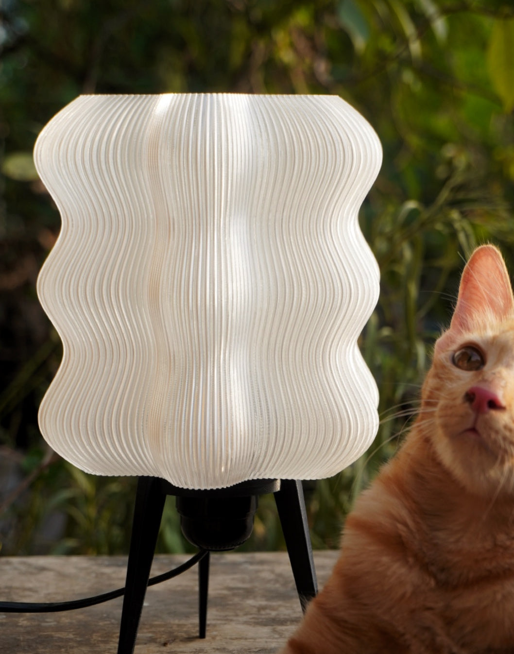 Lazy Lamp White