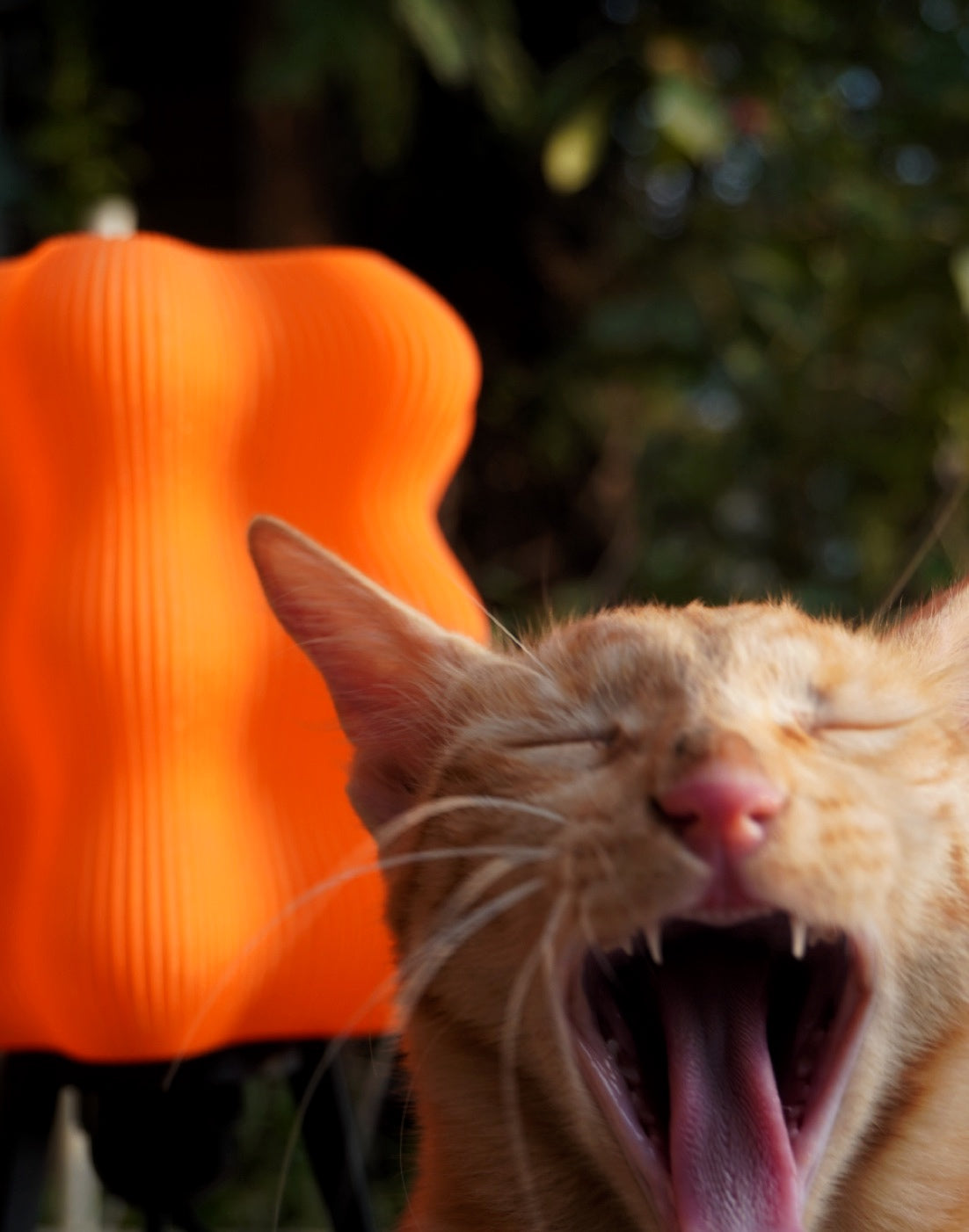 Lazy Lamp Lava Orange