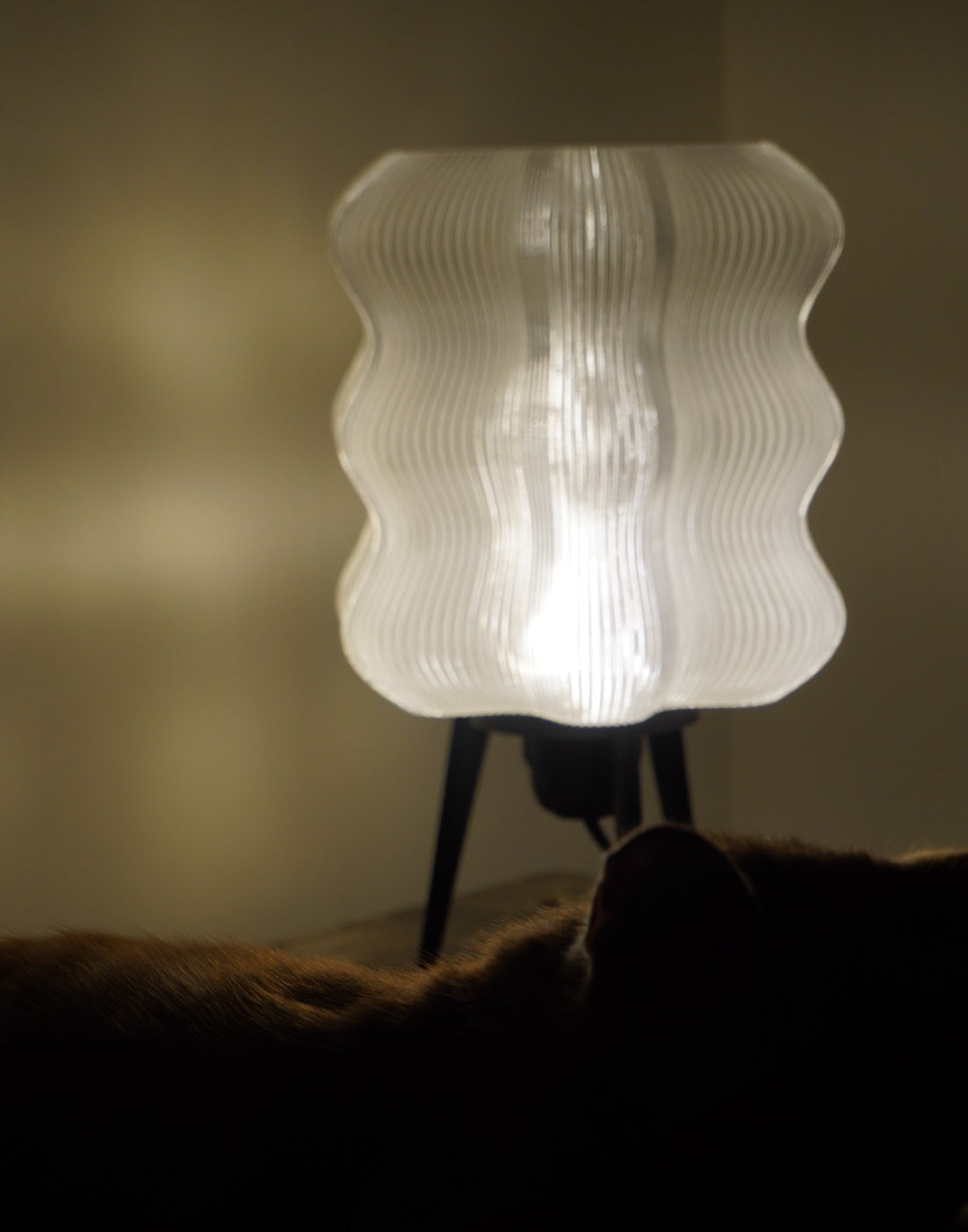 Lazy Lamp White