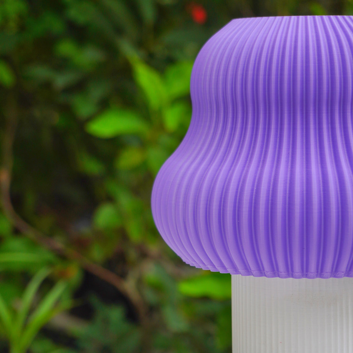 Purple & White